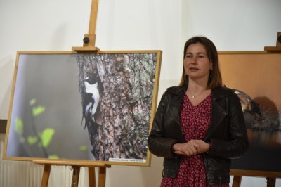 Okładka albumu: Otwarcie wystawy 